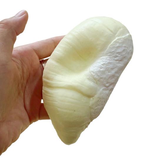 Jouet à presser Durian Doux Réaliste PU Lentement Élastique Fidget pour Soulager le Stress Mignon Gadget de Décompression en Forme de Fruit pour Enfants Adultes