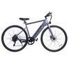 AVAKA R1 Electric Bike, 250W Motor, 36V 7.8Ah Battery, 700C Tires, 32km/h Max Speed, 45km Max Range