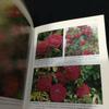 [USED] Gardening Plants Flowers Books Gardening Flower Picture Book Garden English