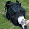 Expandable Pet Carrier Backpack for Cats Small Dogs, Breathable Foldable Travel Bag with Side Extension and Safety Leash