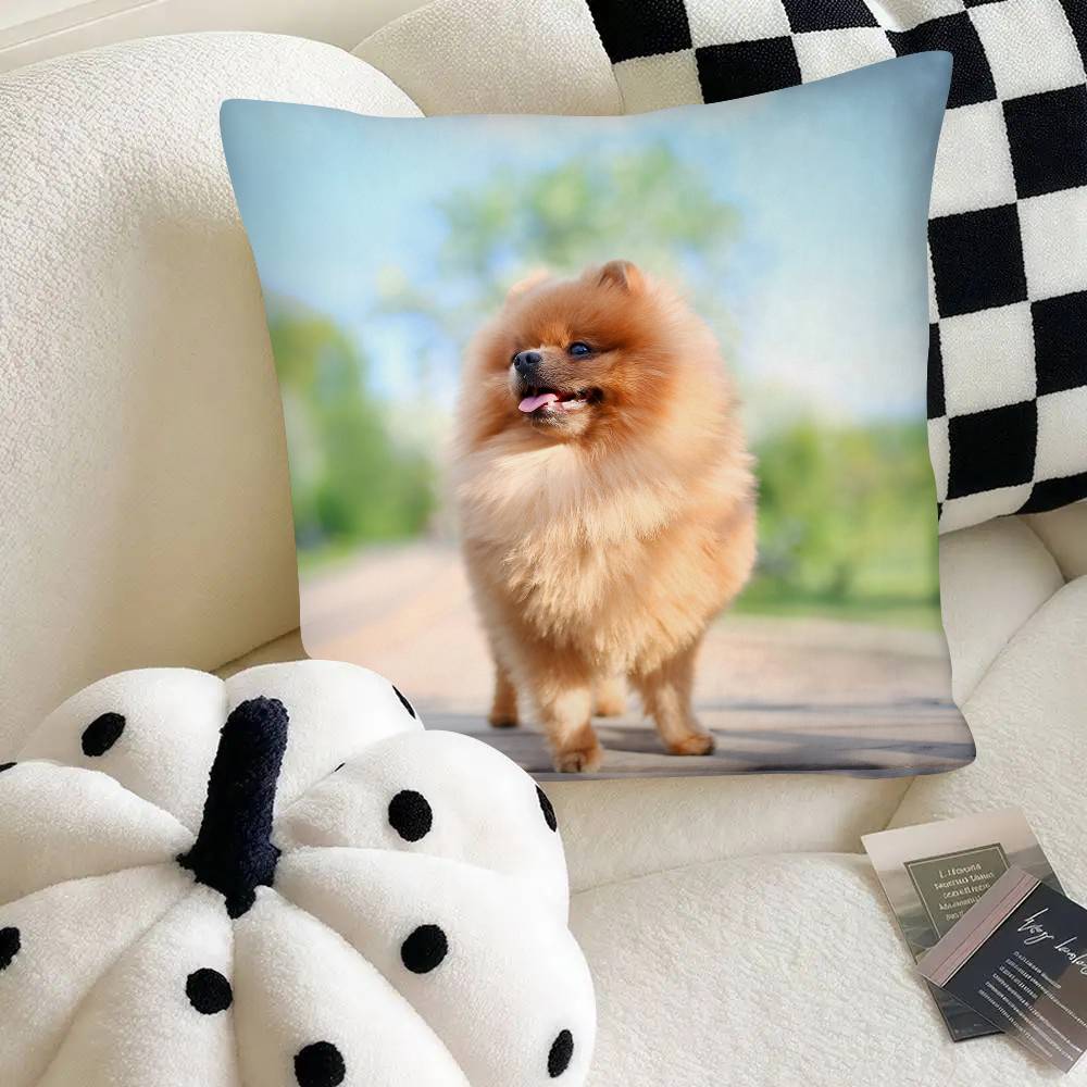 Poszewka na poduszkę dla psa rasy szpic miniaturowy Modna kwadratowa poszewka na poduszkę Sypialnia Sofa Pokój Dekoracja Ins Wypoczynek