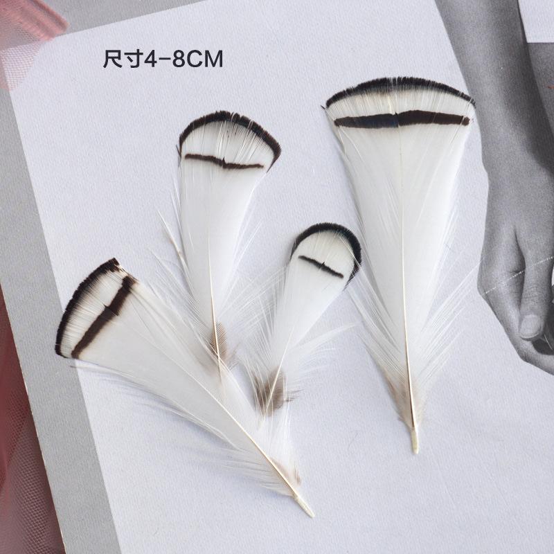 

Pheasant Hair Copper Chicken White Head Slices 4-8Cm Small Feather Crafts Decorative Paintings Accessories Decorative Materials