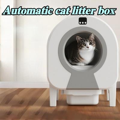 Katzen – Katzenpflege