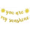 Morndew 2 Set Gold Glitter You Are My Sunshine Banner for Kids Theme Birthday Party Gender Reveal Party Baby Shower Bunting Decorations