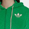 adidas Originals Adicolor Heritage Now Velour Zip Hoodie IB2047