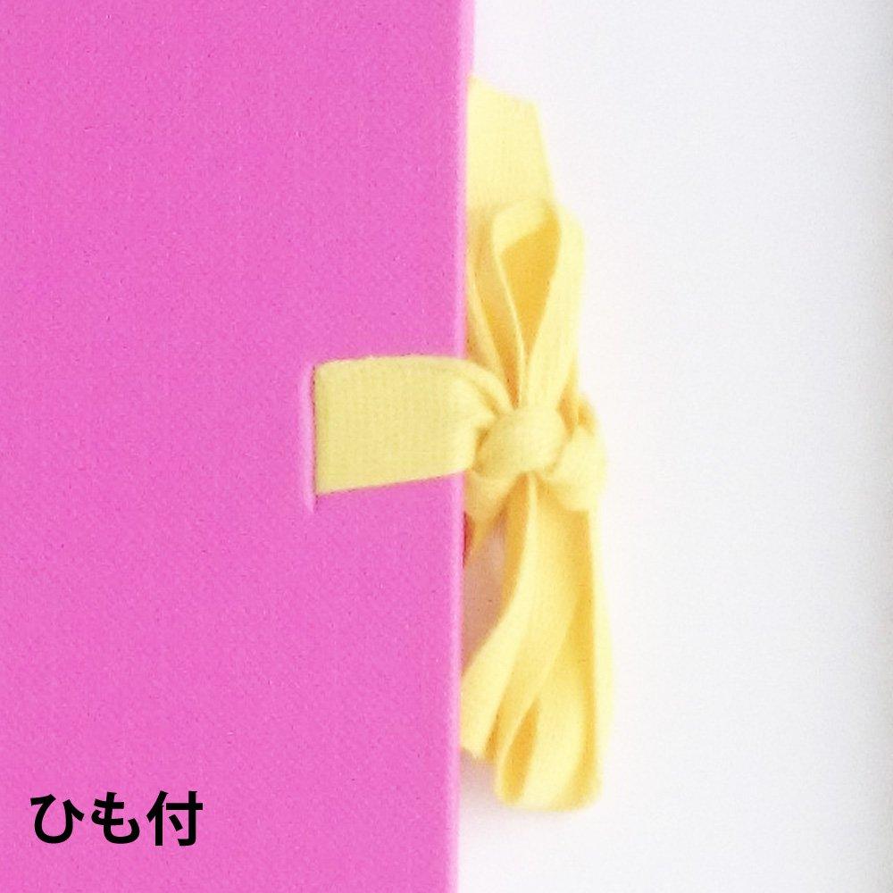 Maruman S316-08 Sketchbook Art Spiral F6 Thick Dra