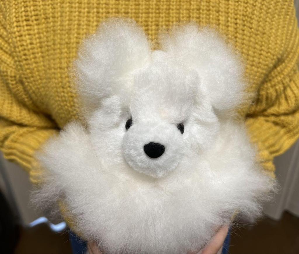 [USED] Alpaca Teddy Bear, 100% Baby Alpaca, Medium Size