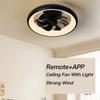 19.6 Inchs Household LED Lighting Electric Fan Electric Ceiling Fan Light Bedroom Strong Wind DC Ceiling Fan Lamp