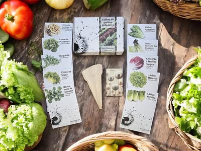 Seed Box - Special Salads - Semi-Wild Permaculture