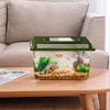 Portable Outdoor Fish & Turtle Tank: Small To Medium Breeding Box with Lid for Insects & Household Use