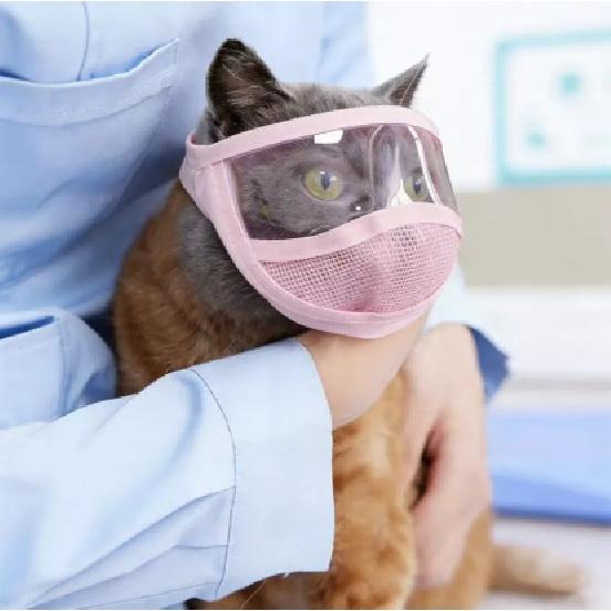 Transparent Pet Cat Eye Mask, Anti-bite Cleaning Face Shield, Breathable with Open Field of Vision, Pet Anti-bite Head Cover