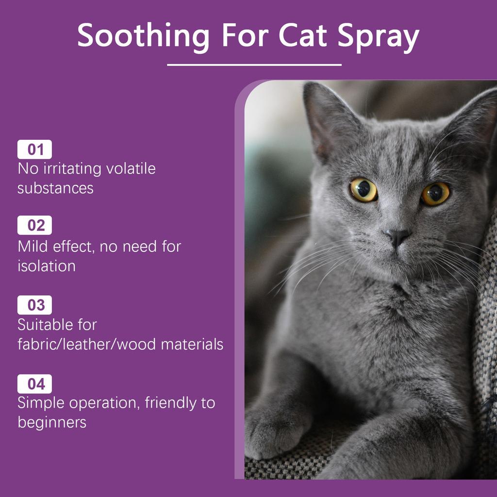 Cats Deterrent Spray Natural Safe Cats Repellents Indoor & Outdoor, Effective Training Aid, -Scratch Deterrent For Furniture, Sofas, Rugs, Cats60ml
