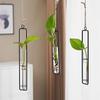 Wall Hanging Test Tube Vases Thickened Glass Vase Gardening Supplies Hanging Glass Planter  Garden