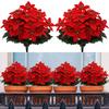 3PCS Christmas Simulation Bouquet 5 Fork Fake Flower Honeysuckle Holiday Decoration Simulation Green Plant Interior Decoration