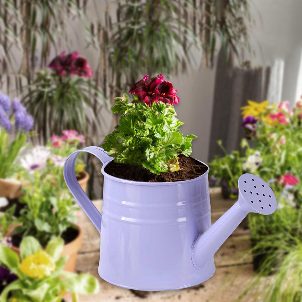 Mini Watering Can Flower Pot 24.4 X 11.4 Cm Flower Container for Patio Bathroom