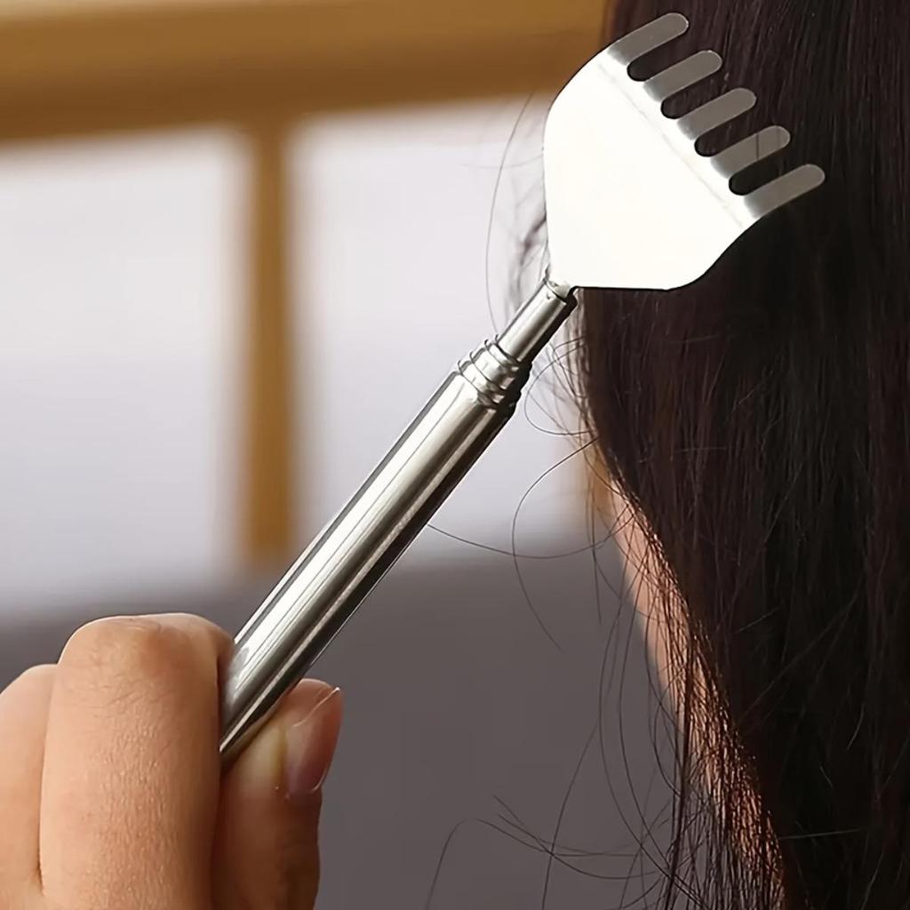 Stainless Steel Telescopic Pen Style Scratch Scraper