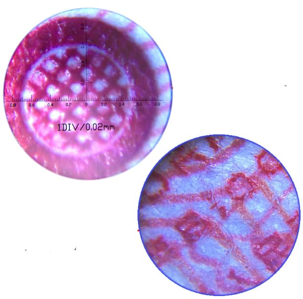 100x Magnification Microscope with Scale Measurement, LED Light, Double Tube, Portable Magnifying Glass with Graduated Scale, Handheld Magnifier for