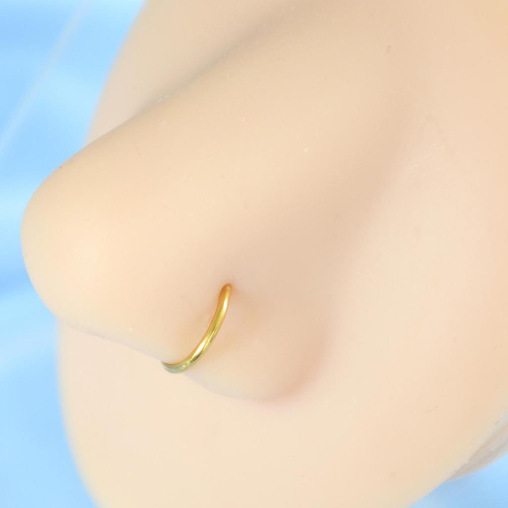 Minimalistischer D-förmiger Edelstahl-Fake-Nasen- und Lippenring