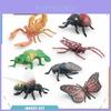 Simulated Wild Insect Butterfly Shoes Spider Dragonfly Model Ornament Set For Educational Displays And Collectors