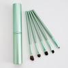 Five-Piece Makeup Brush Set: Eyeshadow, Concealer, Eyebrow, Lip, and Beauty Tools 