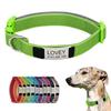 Cães – Colares e correias para cães