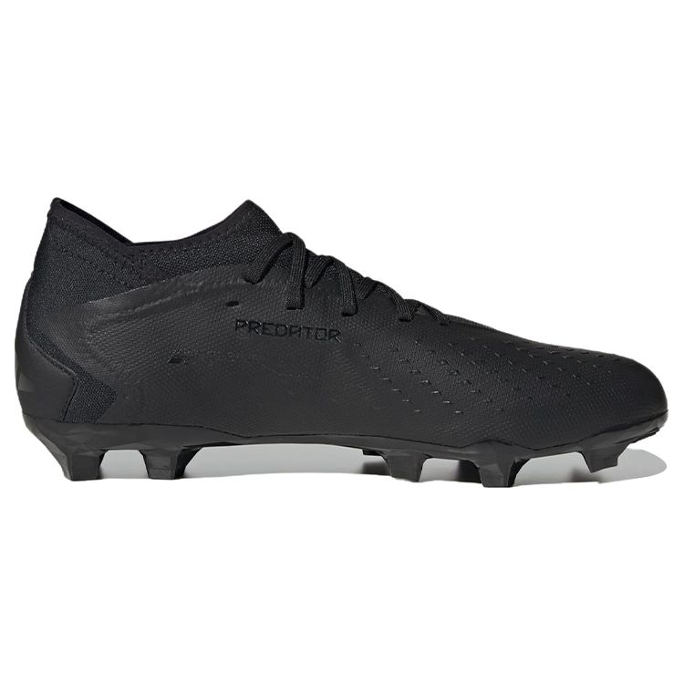 Adidas Predator Accuracy.3 FG Balíček Nightstrike Unisex Tenisky Černá Core-Black Cloud-White GW4593