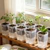 Mini Zelfwaterende Potten met Lont, Transparante Plastic Bloempotten met Drainagegaten & Waterniveau-indicator voor Kamerplanten Vermeerdering Zaaien