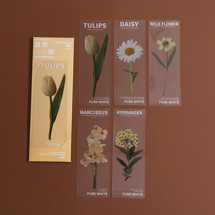 

5 pcs/lot PET Page Holder Reading Mark Bookmarks Translucent Flower Nature Plants Bookmarks Stationery Supplies