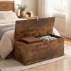 Storage Chest, Large 113L Blanket Box, Shoe Bench with Safety Hinged Lid, Storage Trunk, Bed End Bench for Bedroom, Hallway, Living Room, Playroom