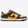 Nike Dunk Low Retro Size HF5441-700, Sundial/Sail/Anthracite, 29.5cm