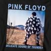 Pink Floyd Childrens/Kids Delicate Sound Of Thunder Hoodie