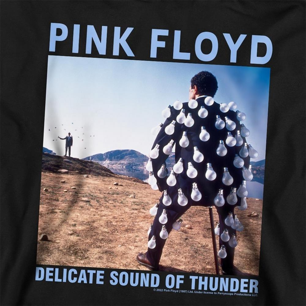 Pink Floyd Childrens/Kids Delicate Sound Of Thunder Hoodie