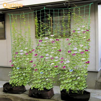Fruit Vegetable Flower Vine Plants Climbing Net