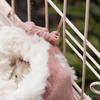 Pet Accessories Warm Hamster Sleeping Bag Comfortable Soft Hamster Plush Nest Windproof Non-slip Mouse Bed Pet Habitat