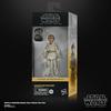 Hasbro Star Wars Black Series Anakin Skywalker, Star Wars: La Minaccia Fantasma Da Collezione 15cm (6 pollici) Action Figure, Età 4+, G0026, Autentico