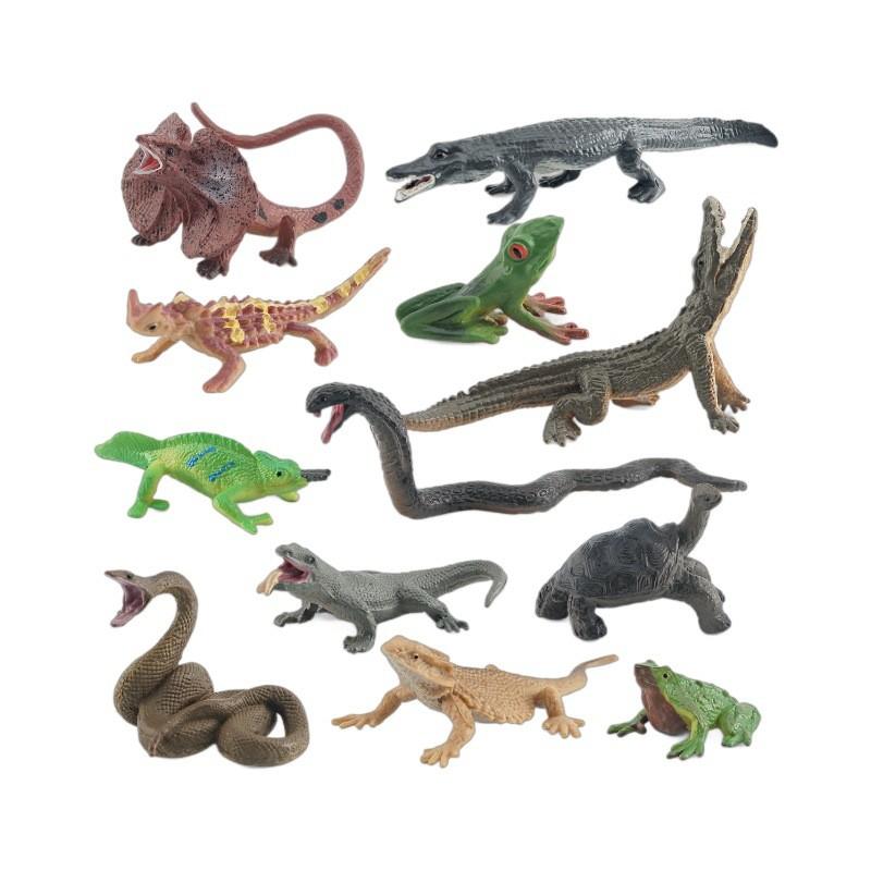 Realistic Pvc Amphibian And Reptile Model Pack For Display And Educational Use