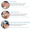 Hydro Wasser Sauerstoff Jet Peel Maschine Oxy Spray Gesichtsmaschine Gesichtsreinigung RF Lifting Dermabrasion Hautpflege Schönheitsgerät Spa