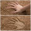 Absorbent Bathroom Non-slip Mat Door Mat Foot Mat Household Foyer Carpet