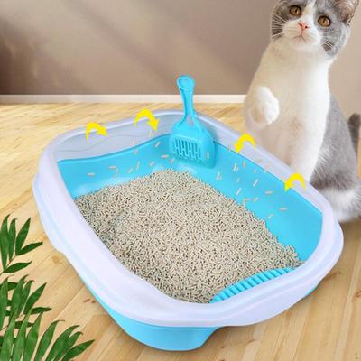 Gatos – Cuidados de gatos