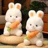 Cartoon Rabbit Doll Plush Toy Children's Doll Cute Carrot Bunny Doll Birthday Gift