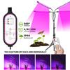 5V USB LED Grow Light LED Plant Light Full Spectrum Phyto Lamp With Tripod Stand For Indoor Vegetable Flower Seedling