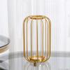 Metal Frame Iron Hydroponic Vase Fashionable Nordic Plant Holder Geometric Flower Vase  Desktop