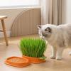 Hydroponic Cat Grass Growing Kit for Indoor Cats Soil Free Wheatgrass Planter with 5 Pack Seeds for Hairball Control