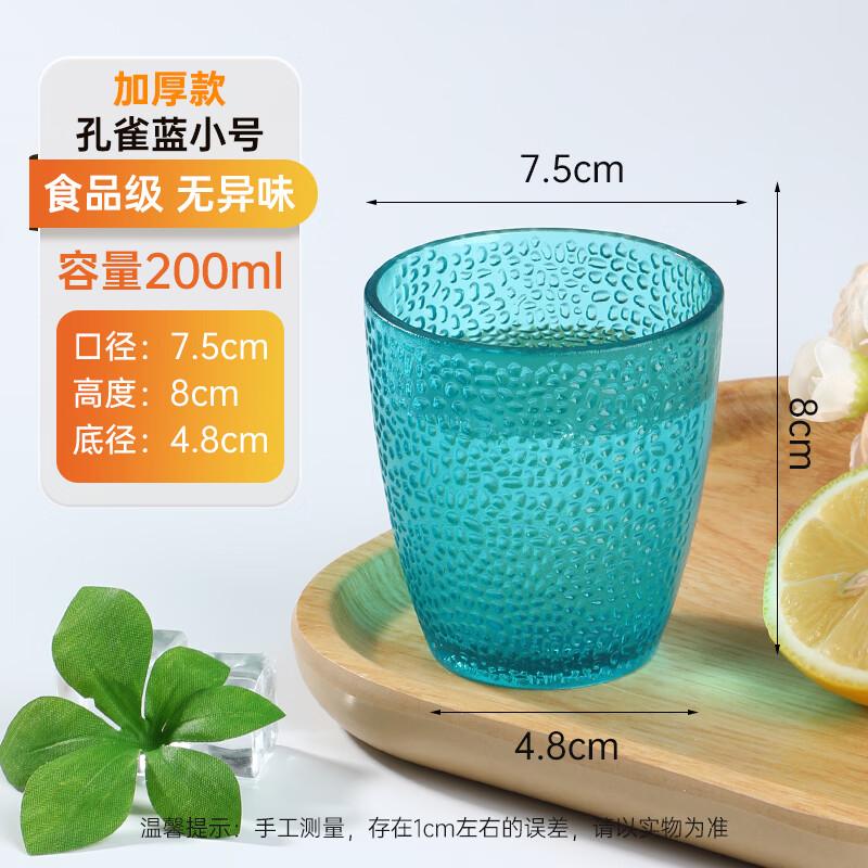 ZISIZ Commercial Acrylic Cup