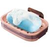 Wall Mounted Soap Holder Double Layer Soap Rack No Drilling Wall Mounted Soap Drain Holder Soap Holder Soap Tray Self-Adhesive