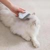 Newcomer Exclusive: Pet Massage Comb & Grooming Tool - Golden Hamster Interactive Toy