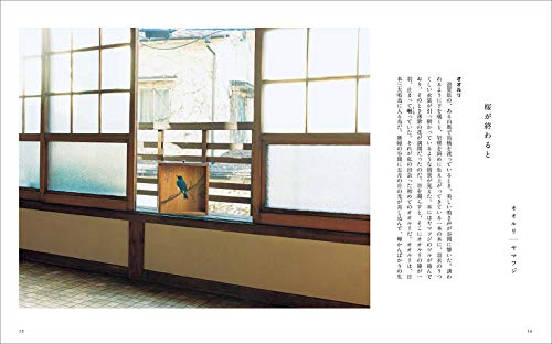 Plants, Trees, Birds and Bird Patterns (Fukuinkan Paperback)