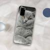 British Shorthair cat Phone Case for Samsung S21 A10 for Redmi Note 7 9 for Huawei P30Pro Honor 8X 10i cover