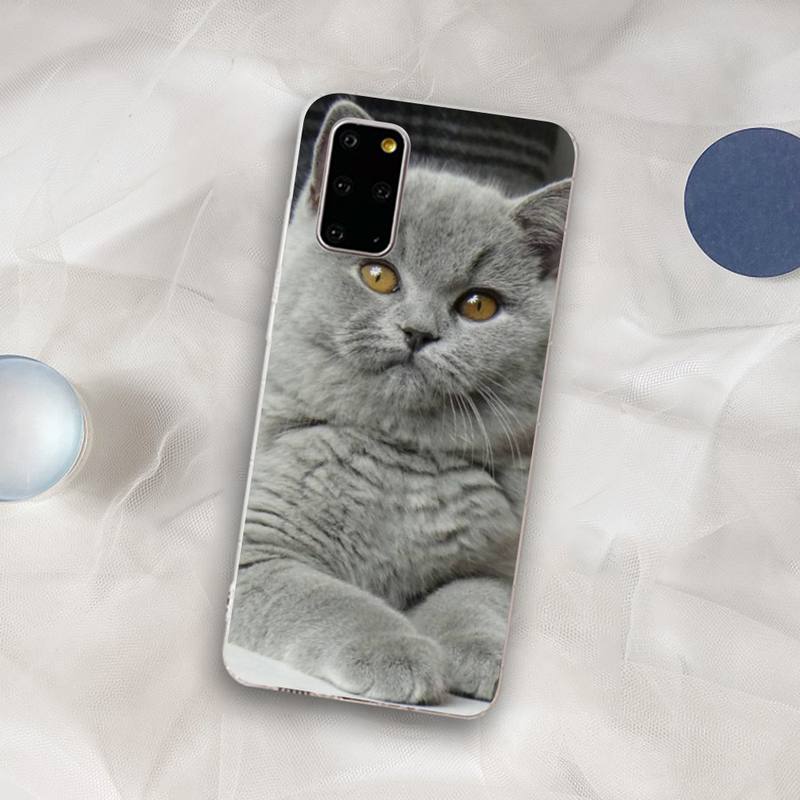 British Shorthair cat Phone Case for Samsung S21 A10 for Redmi Note 7 9 for Huawei P30Pro Honor 8X 10i cover