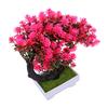 Artificial Bonsai Tree with Pot Small Desktop Faux Plant Easy Maintenance Ornament Decoration for Home Office Shelf